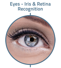 Eyes - Iris & Retina Recognition