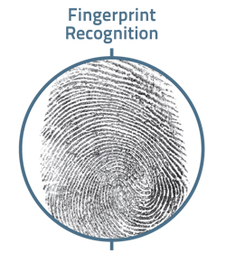 Fingerprint Recognition