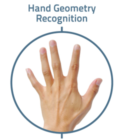 Hand Geometry Recognition